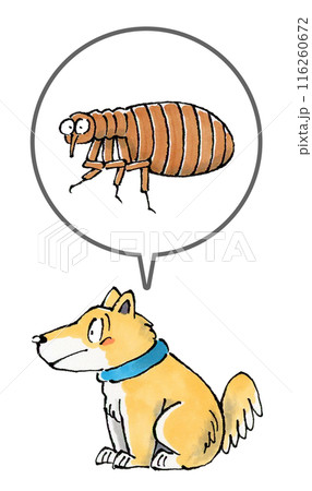 犬とノミ 116260672