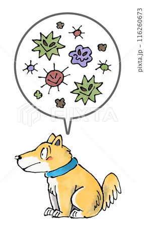 犬と病原菌 犬と病原菌 116260673