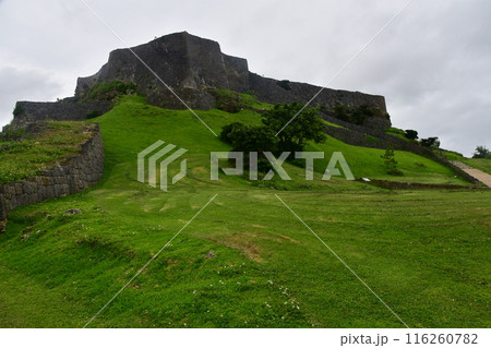 勝連城166 三の郭 116260782