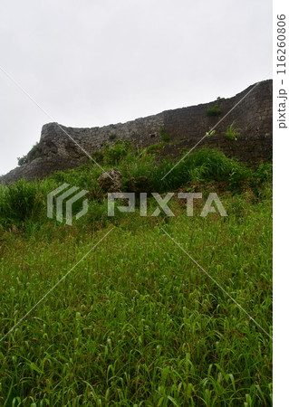 勝連城190 116260806