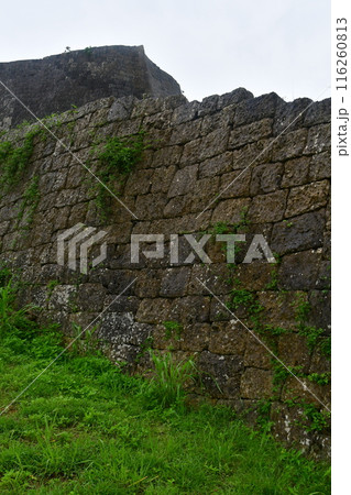 勝連城197 116260813