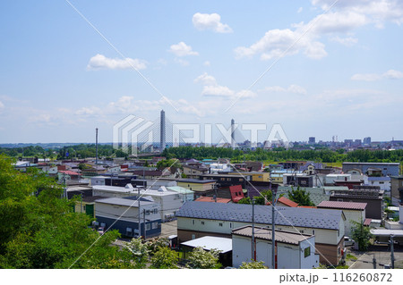 音更町、鈴蘭公園から見る十勝大橋 116260872