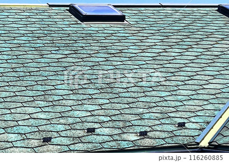 屋根の劣化状況(屋根塗装前の現場調査) 屋根の劣化状況(屋根塗装前の現場調査) 116260885