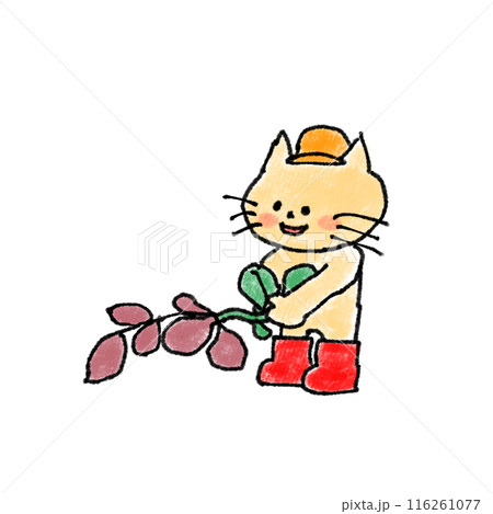 芋ほりねこ 116261077