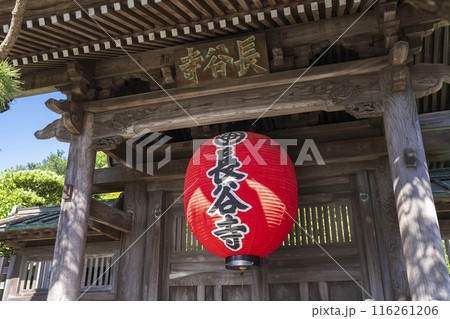 鎌倉 長谷寺 鎌倉 長谷寺 116261206