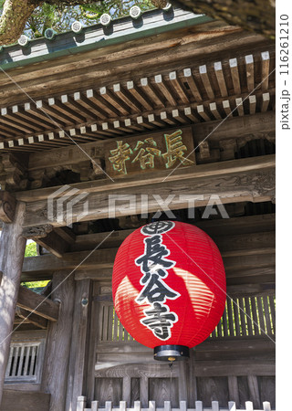 【縦写真】鎌倉 長谷寺 116261210