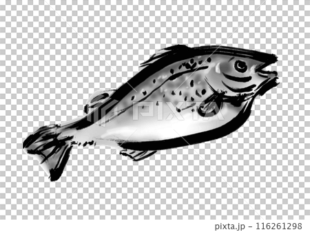 面向右的鱈魚手寫日式毛筆插畫素材 面向右的鱈魚手寫日式毛筆插畫素材 116261298