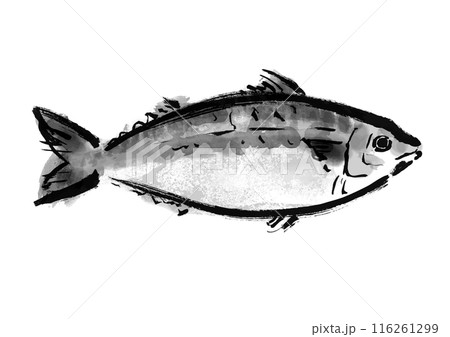 魚の鯖の手書き和風筆イラスト素材　右向き 116261299