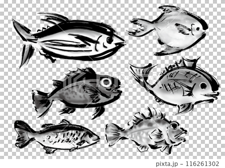 A collection of various hand-drawn fishes. Japanese-style brush-drawn fish set. Right-facing. A collection of various hand-drawn fishes. Japanese-style brush-drawn fish set. Right-facing. 116261302