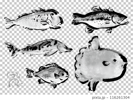 各種手繪魚合集，日式畫筆魚套裝，朝右 116261304