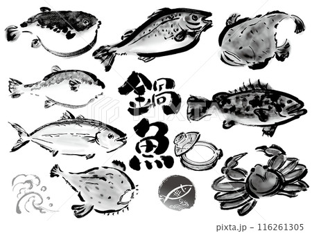 鍋物に向いてる手書きの魚の集合　和風筆書きの魚セット　右向き 116261305