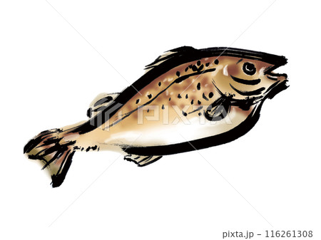 魚の鱈の手書き和風筆イラスト素材 右向き 魚の鱈の手書き和風筆イラスト素材 右向き 116261308