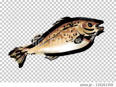 魚の鱈の手書き和風筆イラスト素材 右向き 魚の鱈の手書き和風筆イラスト素材 右向き 116261308