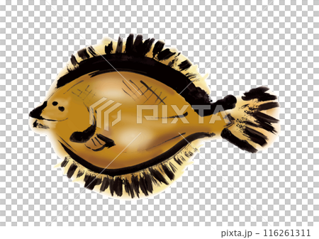 Hand-drawn Japanese-style brush illustration of a flounder fish, facing right 116261311
