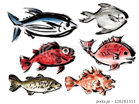 いろいろな手書きの魚の集合　和風筆書きの魚セット　右向き 116261313