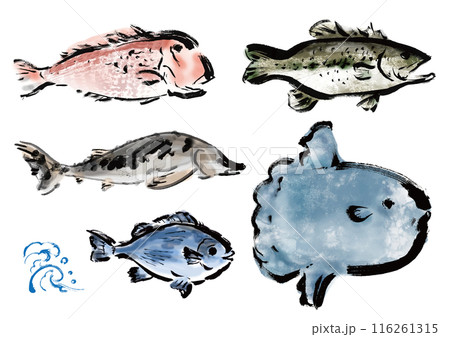 いろいろな手書きの魚の集合 和風筆書きの魚セット 右向き いろいろな手書きの魚の集合 和風筆書きの魚セット 右向き 116261315