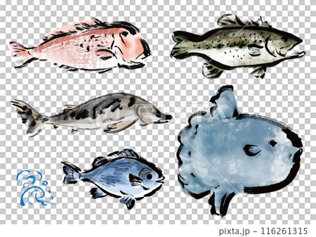 各種手繪魚合集，日式畫筆魚套裝，朝右 116261315