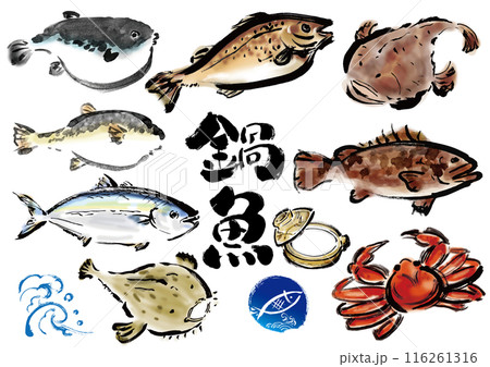 鍋物に向いてる手書きの魚の集合　和風筆書きの魚セット　右向き 116261316