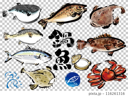 鍋物に向いてる手書きの魚の集合　和風筆書きの魚セット　右向き 116261316