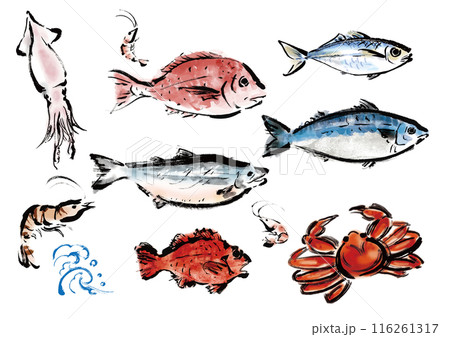 いろいろな手書きの魚の集合 和風筆書きの魚セット 右向き いろいろな手書きの魚の集合 和風筆書きの魚セット 右向き 116261317
