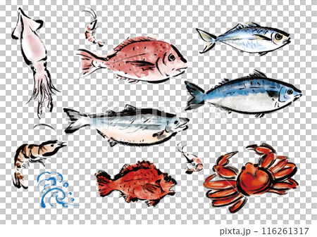 いろいろな手書きの魚の集合 和風筆書きの魚セット 右向き いろいろな手書きの魚の集合 和風筆書きの魚セット 右向き 116261317