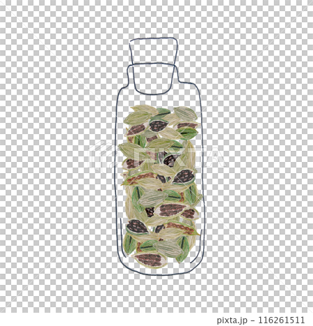 Cardamom pods in a jar watercolor art isolated on white, hand drawn in simple style for food design. Green pods with detailed texture, some open to show seeds inside. Ideal for culinary use, logo 116261511