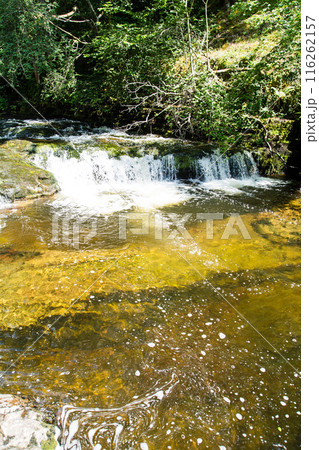 木々と緑に囲まれたスグド・クラン＝グウィン・ウォータフォール　南ウェールズの滝 116262157