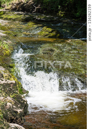 木々と緑に囲まれたスグド・クラン＝グウィン・ウォータフォール　南ウェールズの滝 116262159