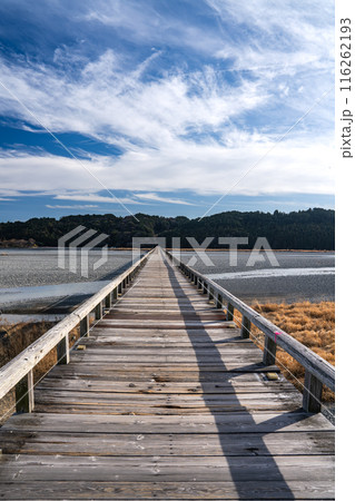 快晴の空と共にある蓬莱橋(静岡県) 快晴の空と共にある蓬莱橋(静岡県) 116262193