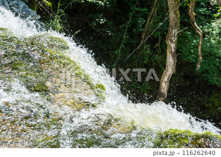 木々と緑に囲まれたスグド・クラン＝グウィン・ウォータフォール　南ウェールズの滝 116262640