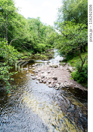 南ウェールズの森を通りスグド・クラン＝グウィン・ウォータフォールに続く岩場の渓流 116262806
