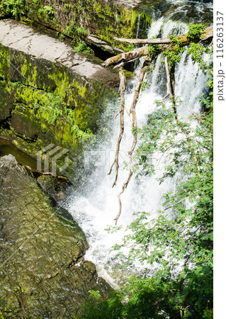 木々と緑に囲まれたスグド・クラン＝グウィン・ウォータフォール　南ウェールズの滝 116263137