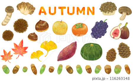 秋のイラストセット 116263148