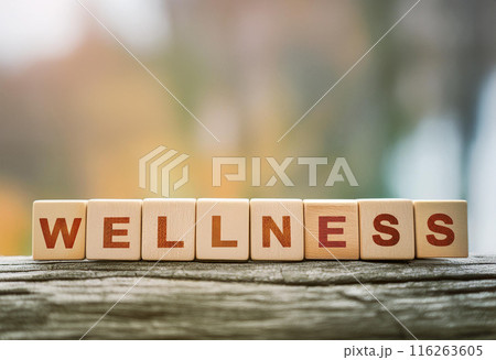 健康を表す積み木の文字「Wellness」 116263605