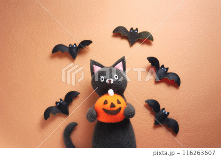 ハロウィンのかぼちゃと黒猫のぬいぐるみ 116263607