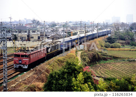 2006年 東海道本線を走るEF81107ブルートレイン日本海4号 2006年 東海道本線を走るEF81107ブルートレイン日本海4号 116263834