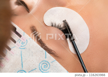 Procedure of eyelashes extension in beauty salon 116263966