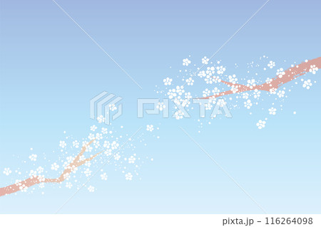 小花のような雪と枝の背景 小花のような雪と枝の背景 116264098