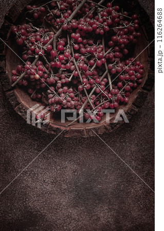 Shtoshi berry, Shepherd's pie, a hybrid of sea buckthorn and barberry, top view, no people, 116264688