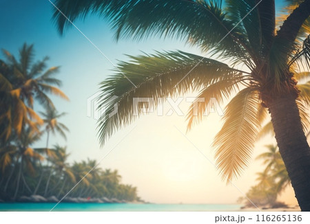 palm tree on the beach palm tree on the beach 116265136