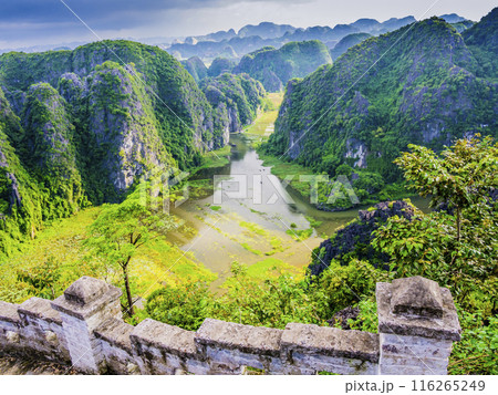 Karst formations and rice paddy fields in Tam Coc with stone staircase, Ninh Binh province, Vietnam 116265249