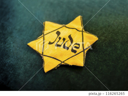 Yellow Star of David outlined in black with German word for "Jew" written in Hebrew style on canvas 116265265