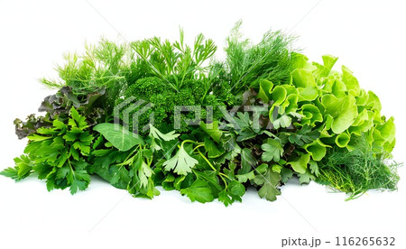 A picture showcasing an assortment of different greens against a white backdrop A picture showcasing an assortment of different greens against a white backdrop 116265632