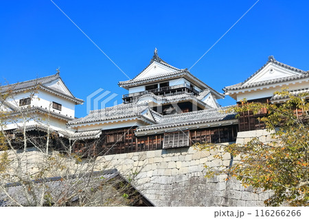 【愛媛県】松山城(現存12天守) 【愛媛県】松山城(現存12天守) 116266266