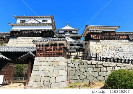 【愛媛県】松山城（現存12天守） 116266267