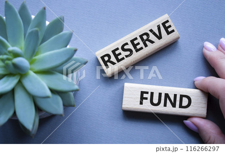 Reserve Fund symbol. Concept word Reserve Fund on wooden blocks. Beautiful grey background with succulent plant. Businessman hand. Business and Reserve Fund concept. Copy space 116266297
