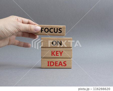 Focus on Key Ideas symbol. Concept words Focus on Key Ideas on wooden blocks. Beautiful grey background. Businessman hand. Business and Focus on Key Ideas concept. Copy space 116266620