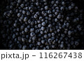 Close-Up of Fresh Blueberries 116267438