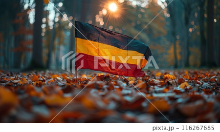 German flag in autumn leaves with sun rays in a forest. Seasonal and patriotic concept. German flag in autumn leaves with sun rays in a forest. Seasonal and patriotic concept. 116267685