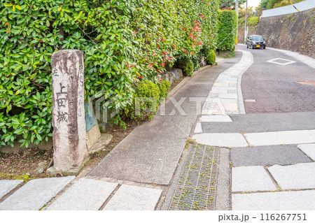 上田城　歴史の散歩道　保福寺道　浄福寺坂　延命地蔵尊 116267751